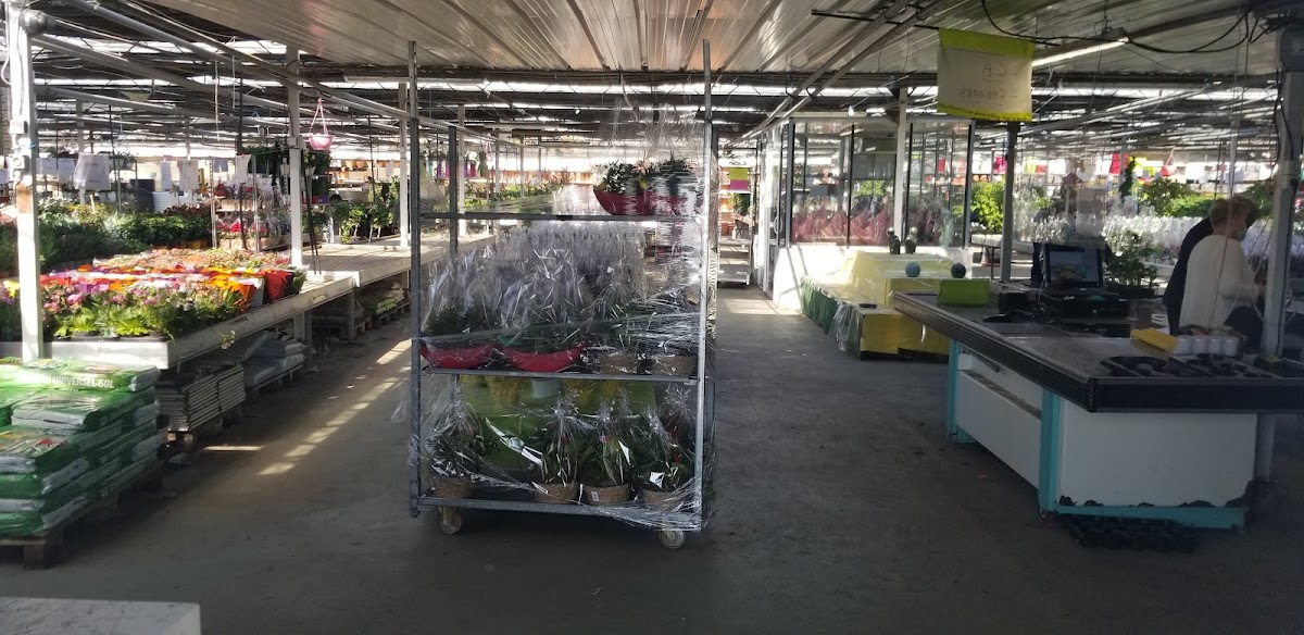 Floriprim - photo 2